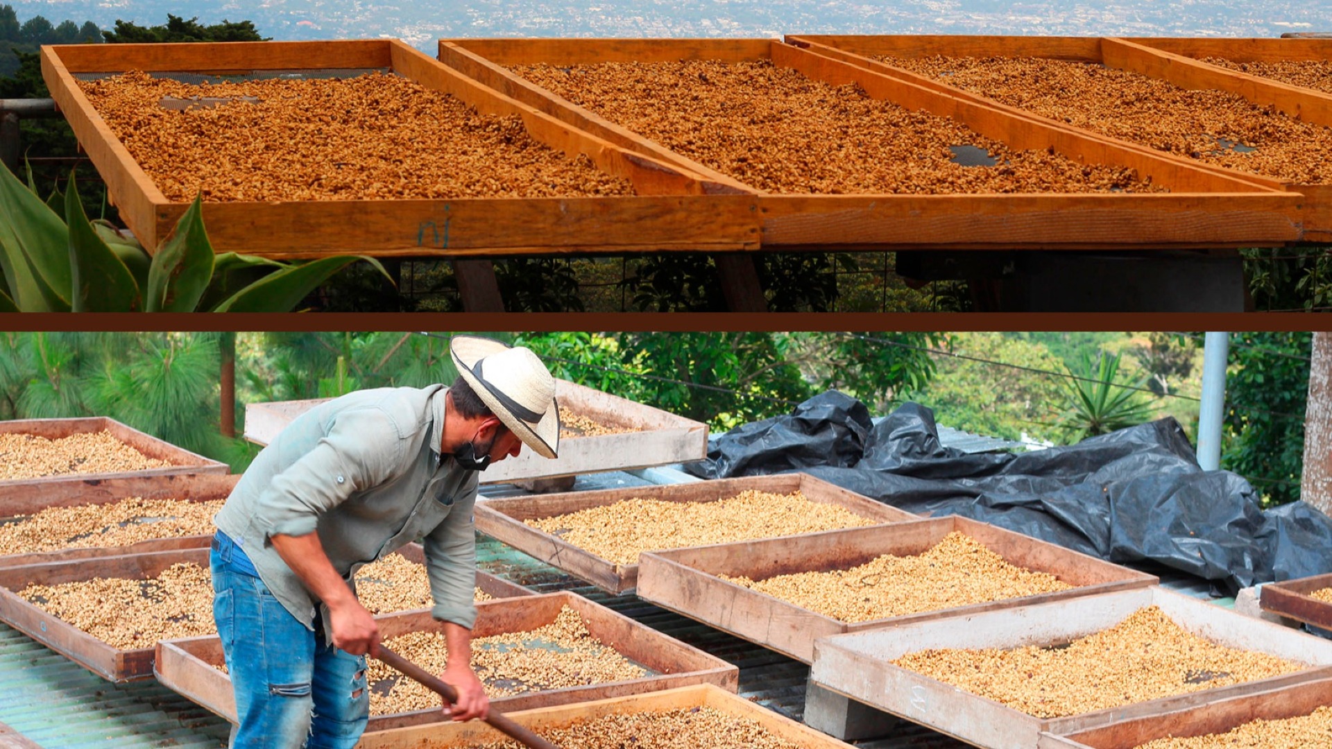 Finca San Cristóbal