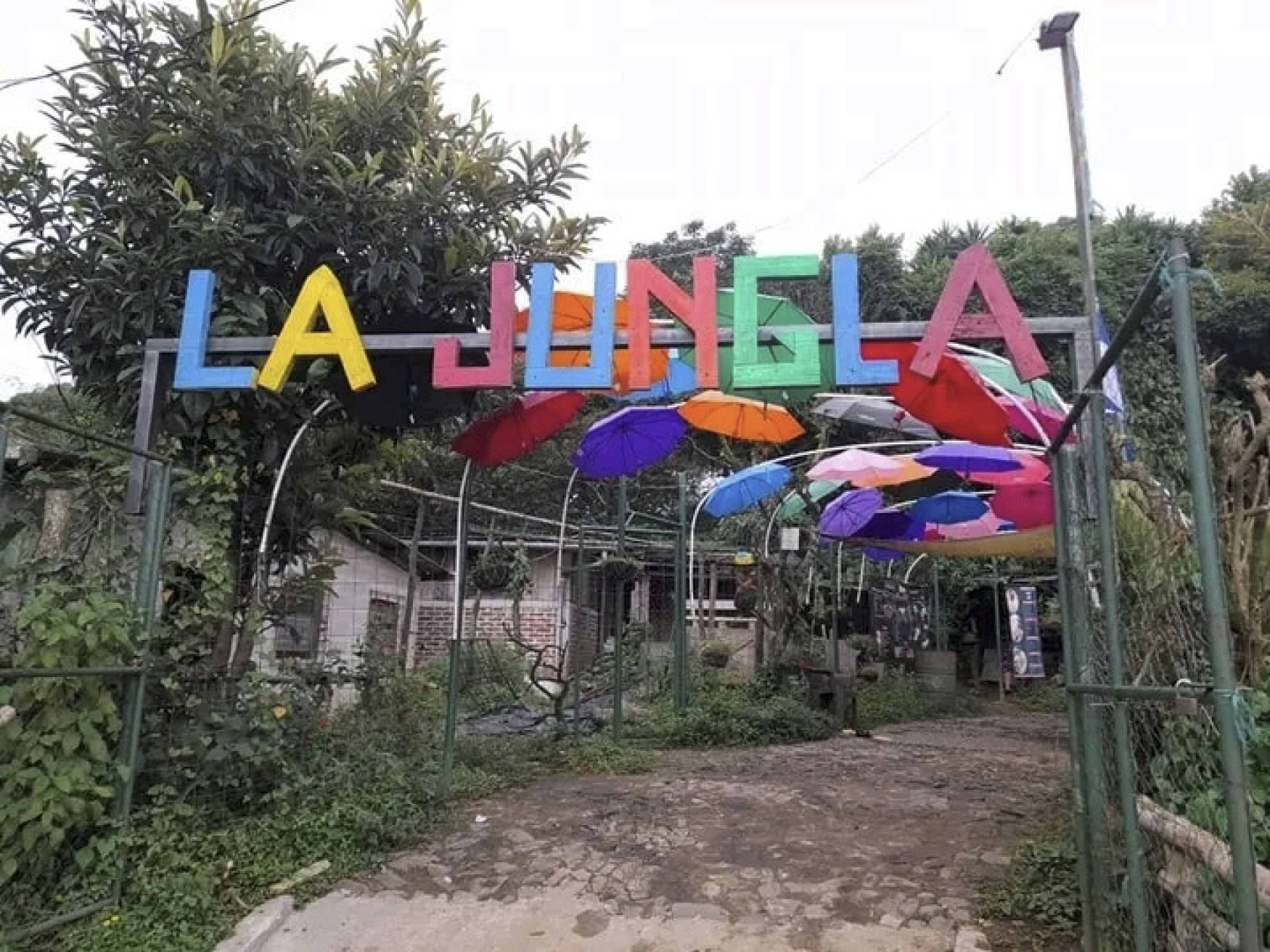 PaintBall La Jungla
