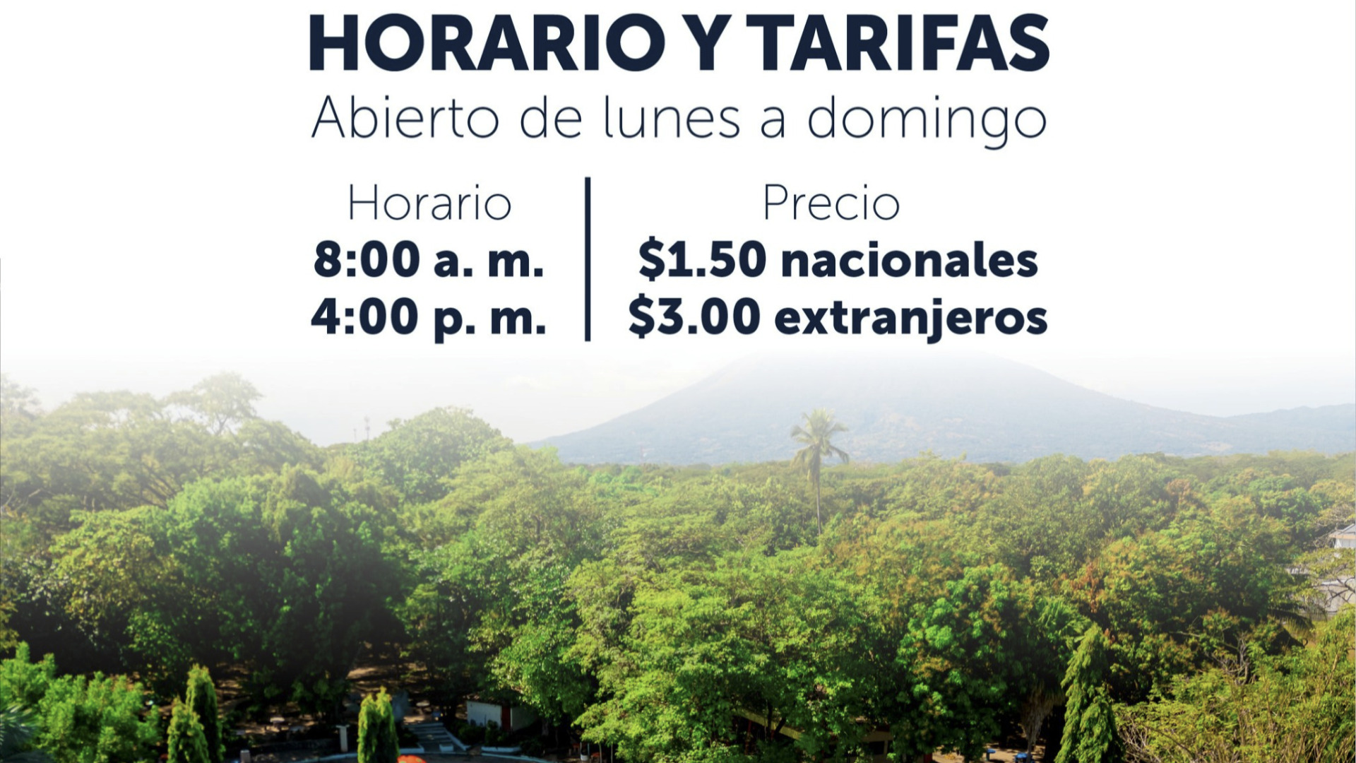 Buses Alegres!!