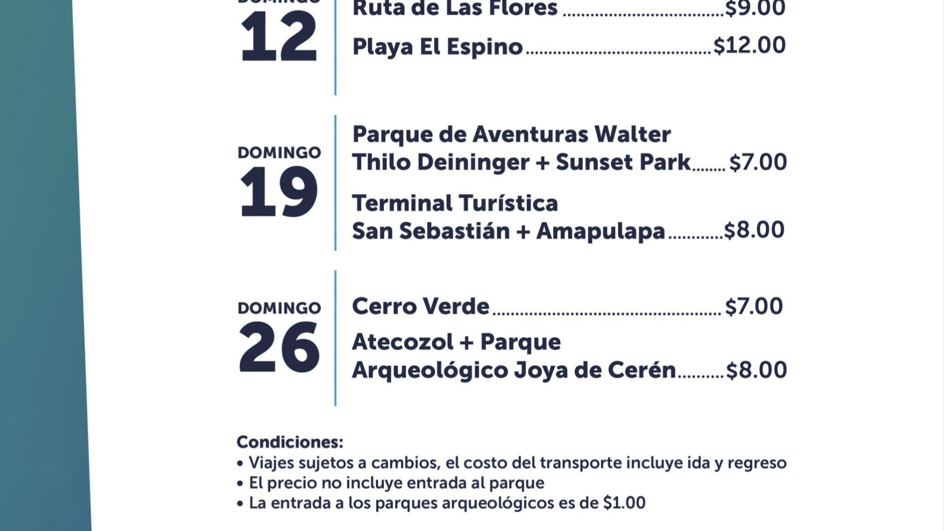 Buses Alegres!!