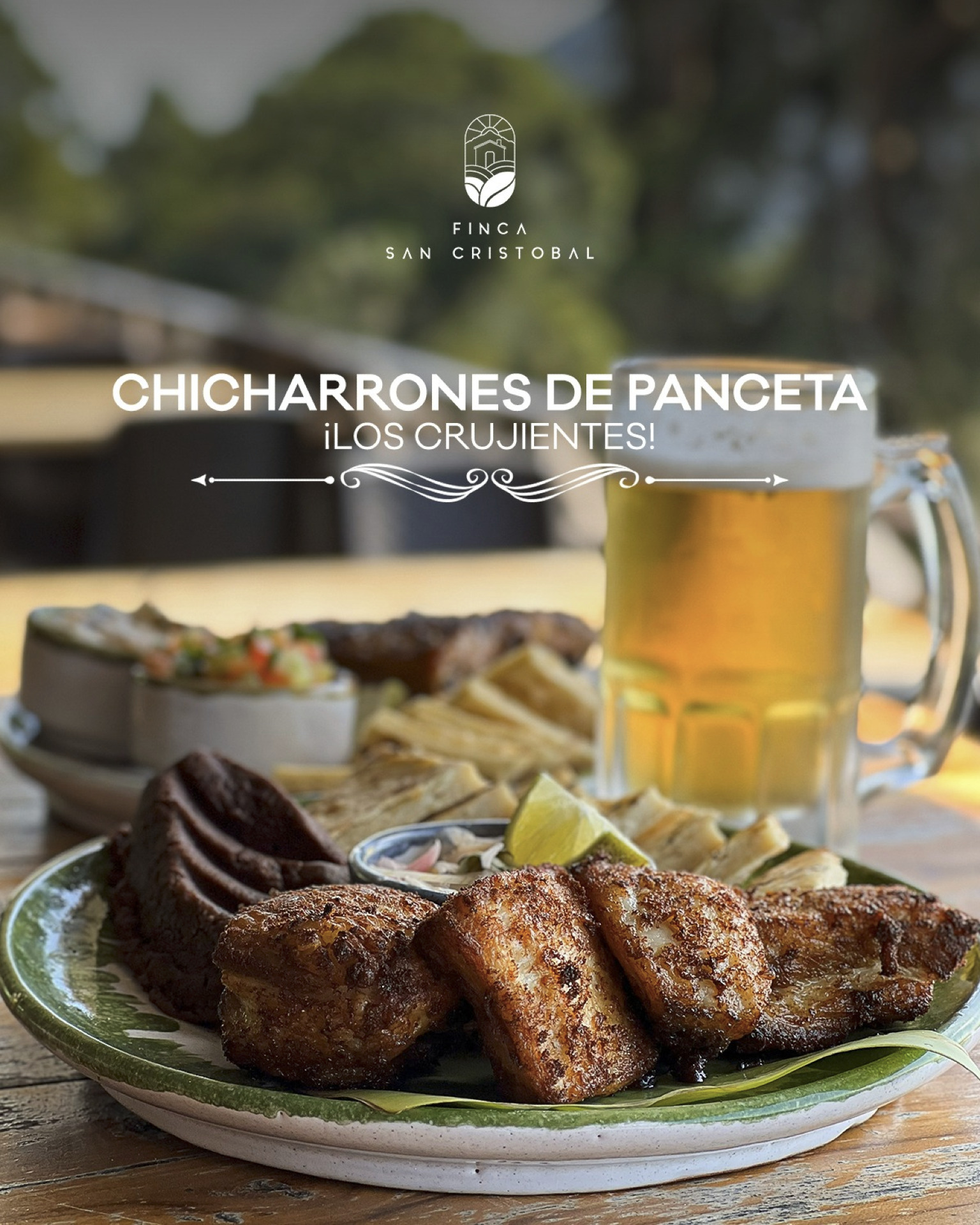 Eventos Especiales y Corporativos