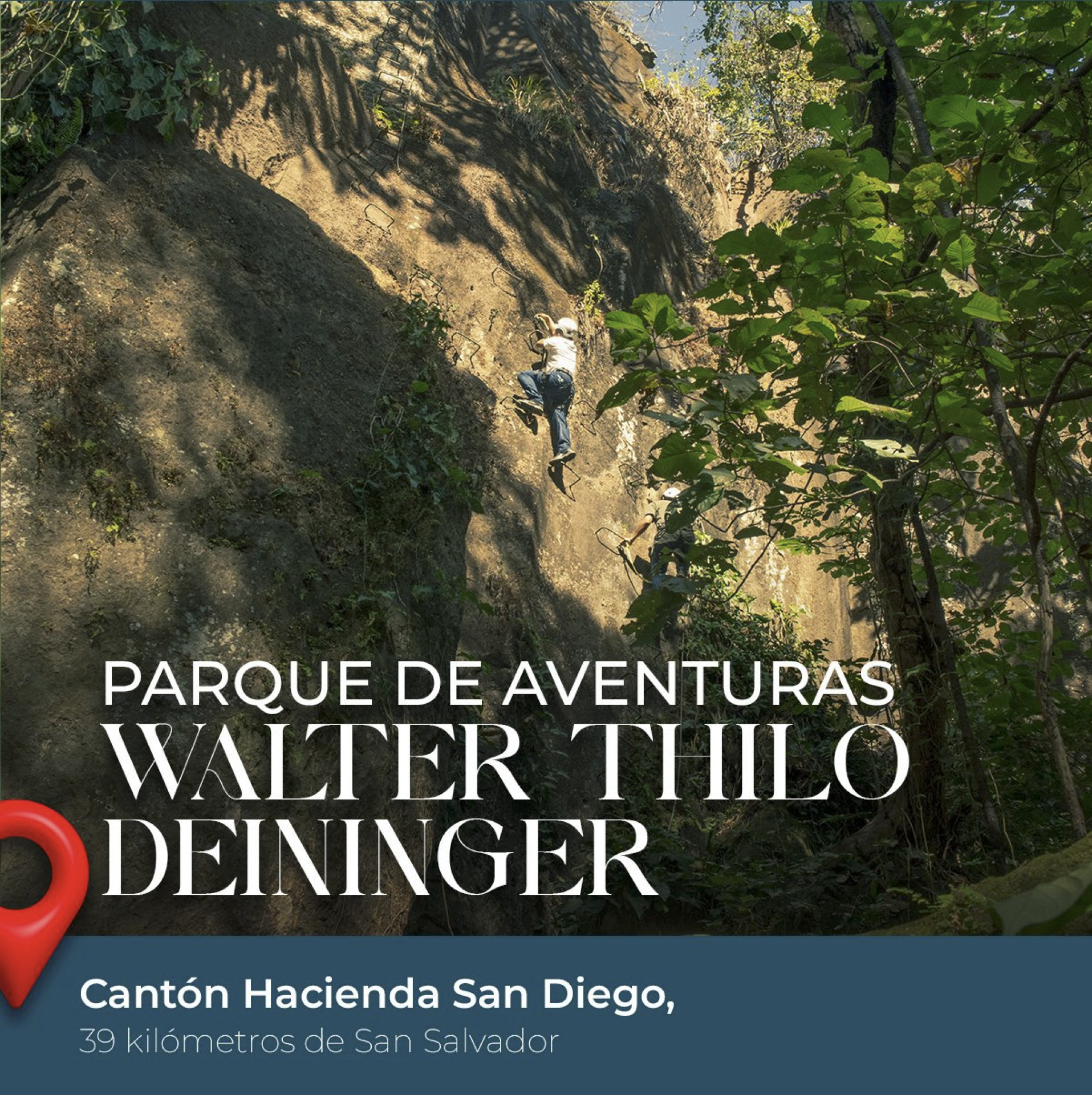 Festival Jocote Barón Rojo !!