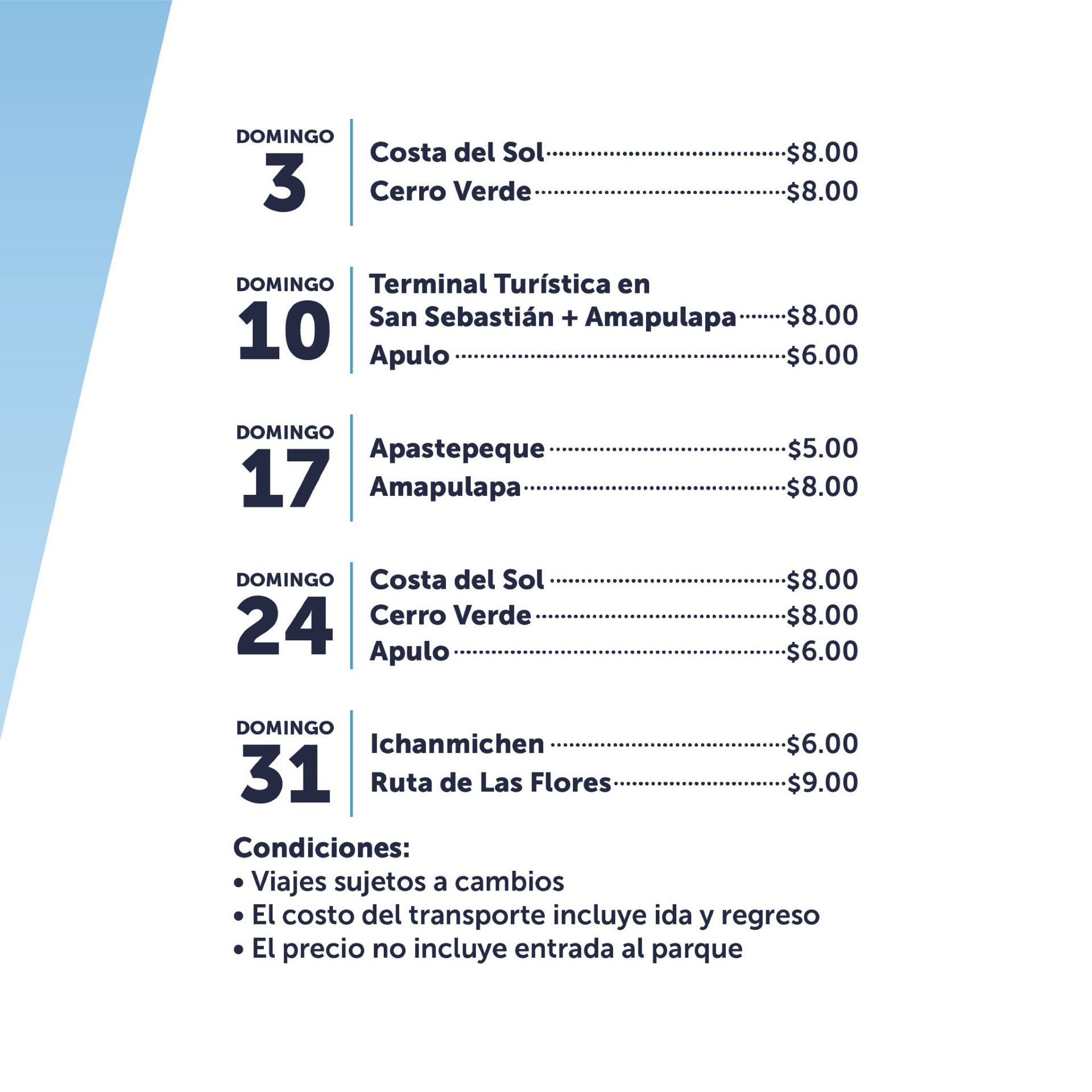 Buses Alegres!!