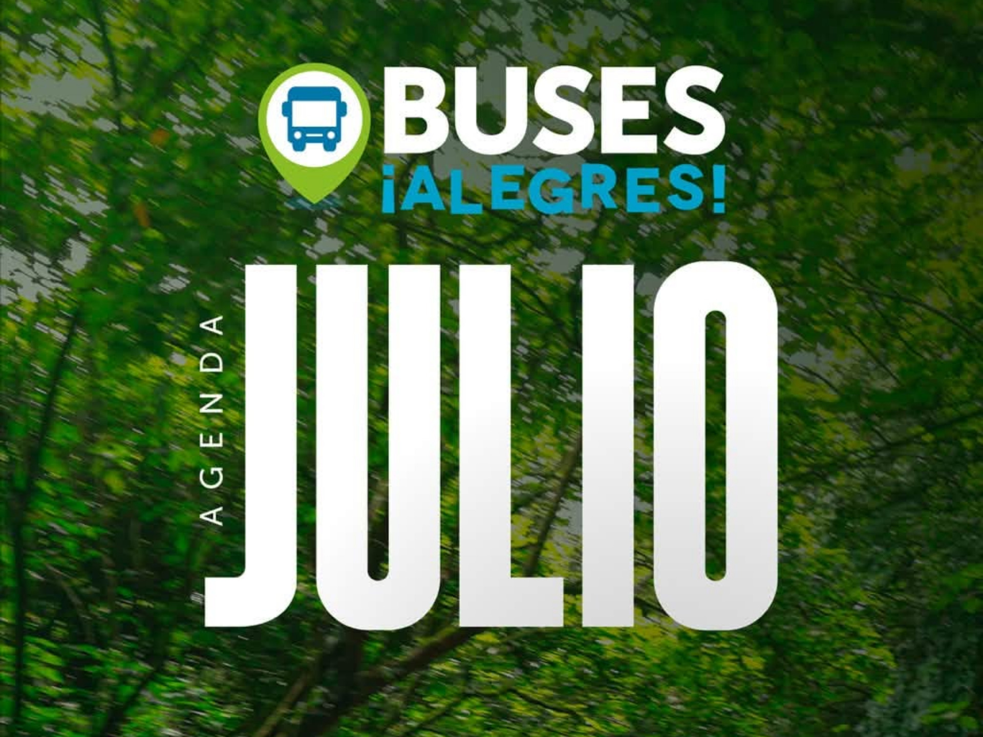 Buses Alegres!!