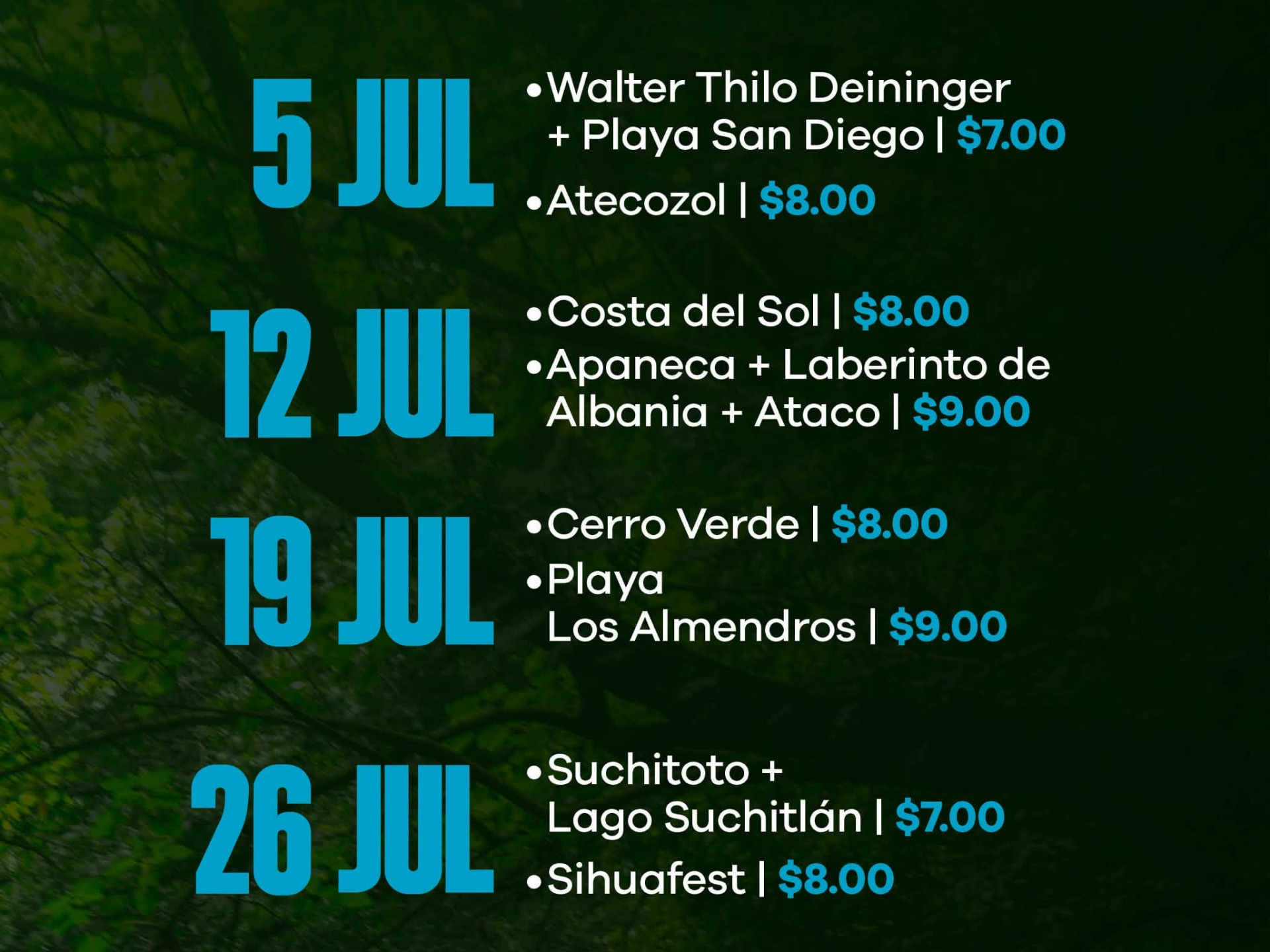 Buses Alegres!!