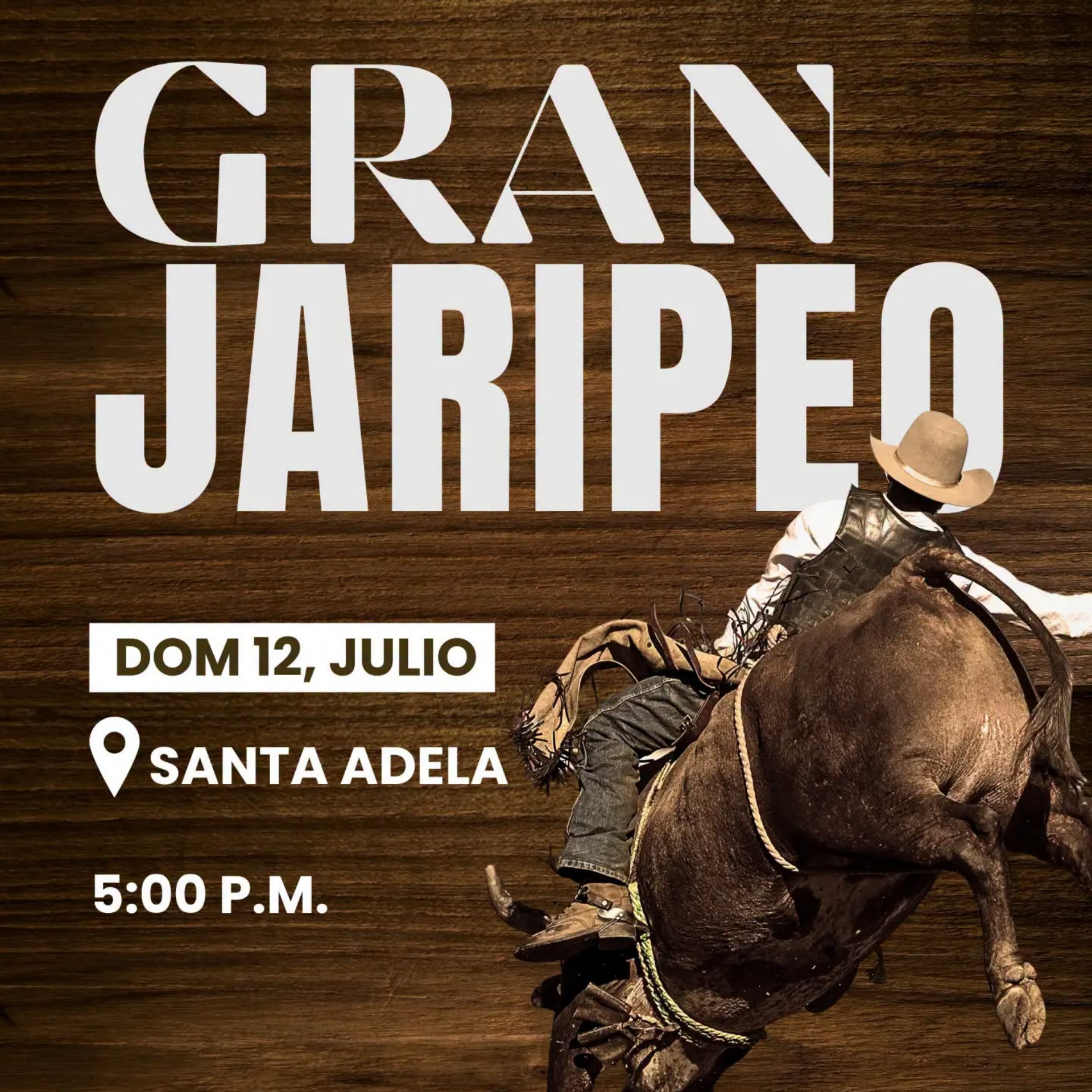 Fiestas Patronales Santa Ana