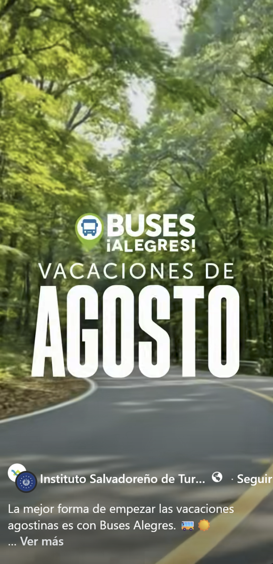 Buses Alegres!!