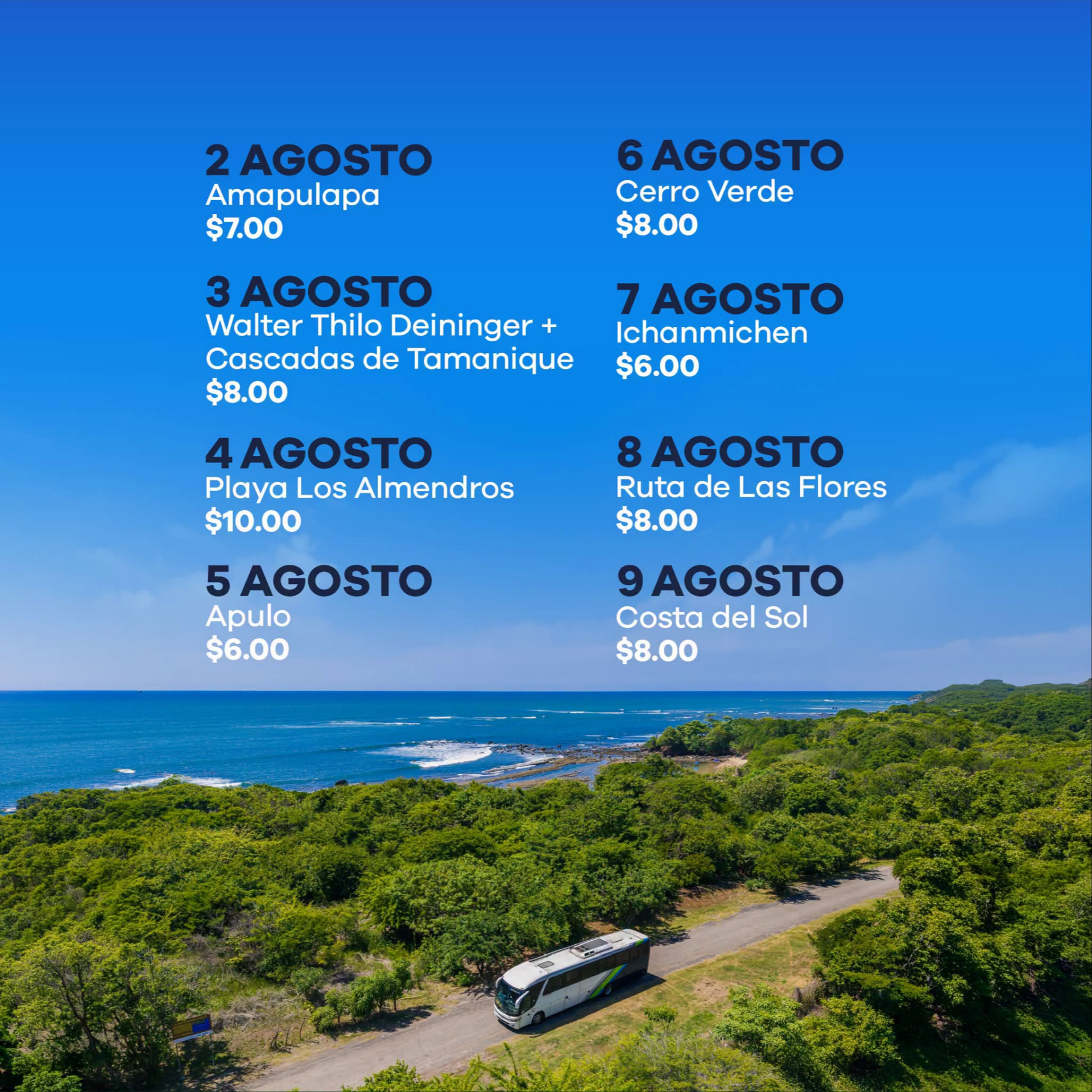 Buses Alegres!!