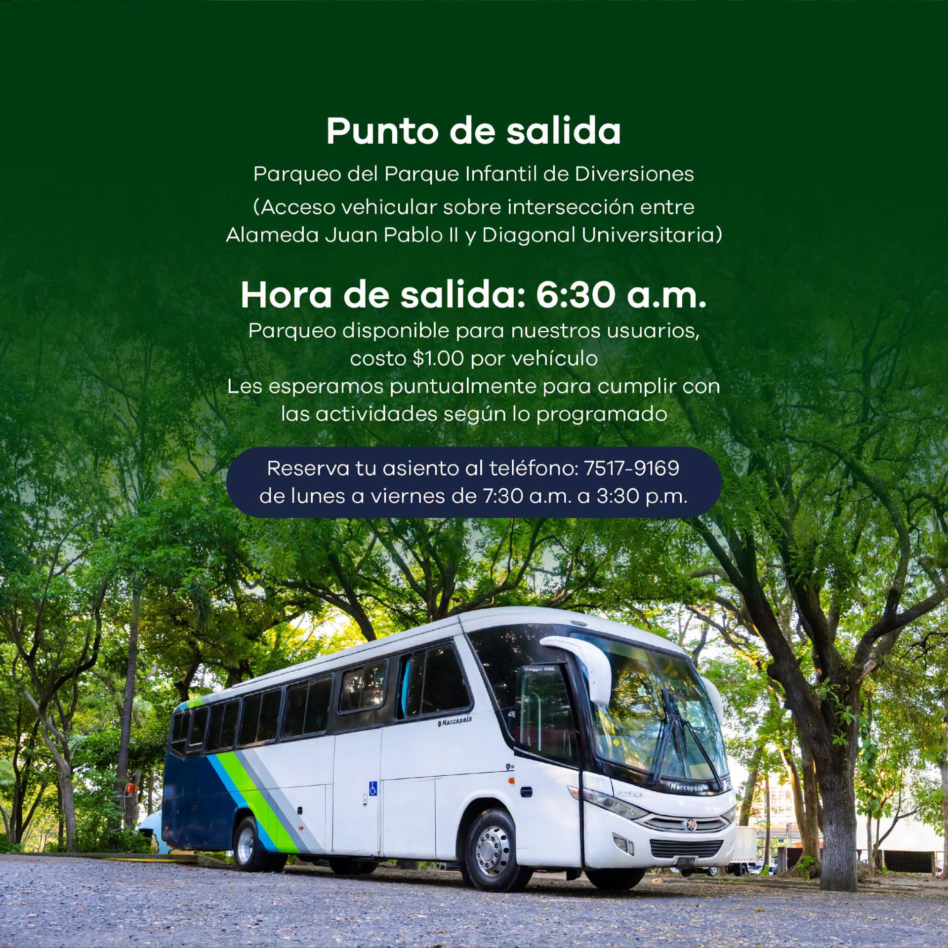 Buses Alegres!!