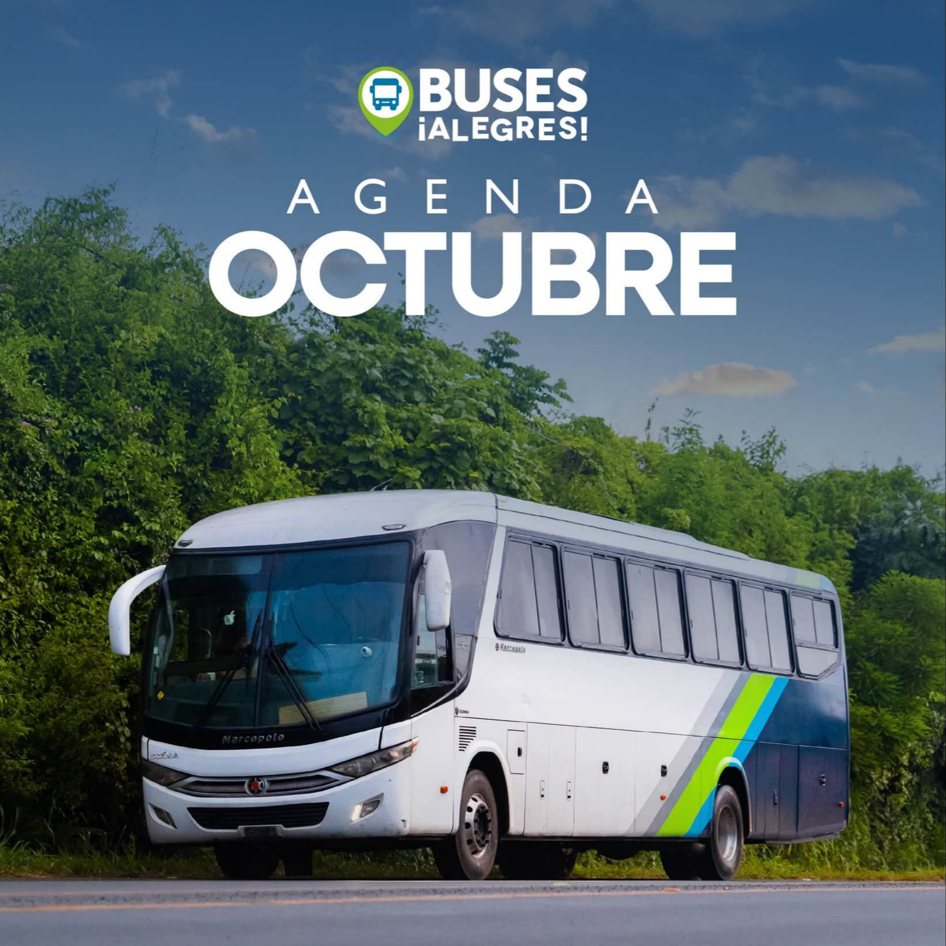 Buses Alegres!!