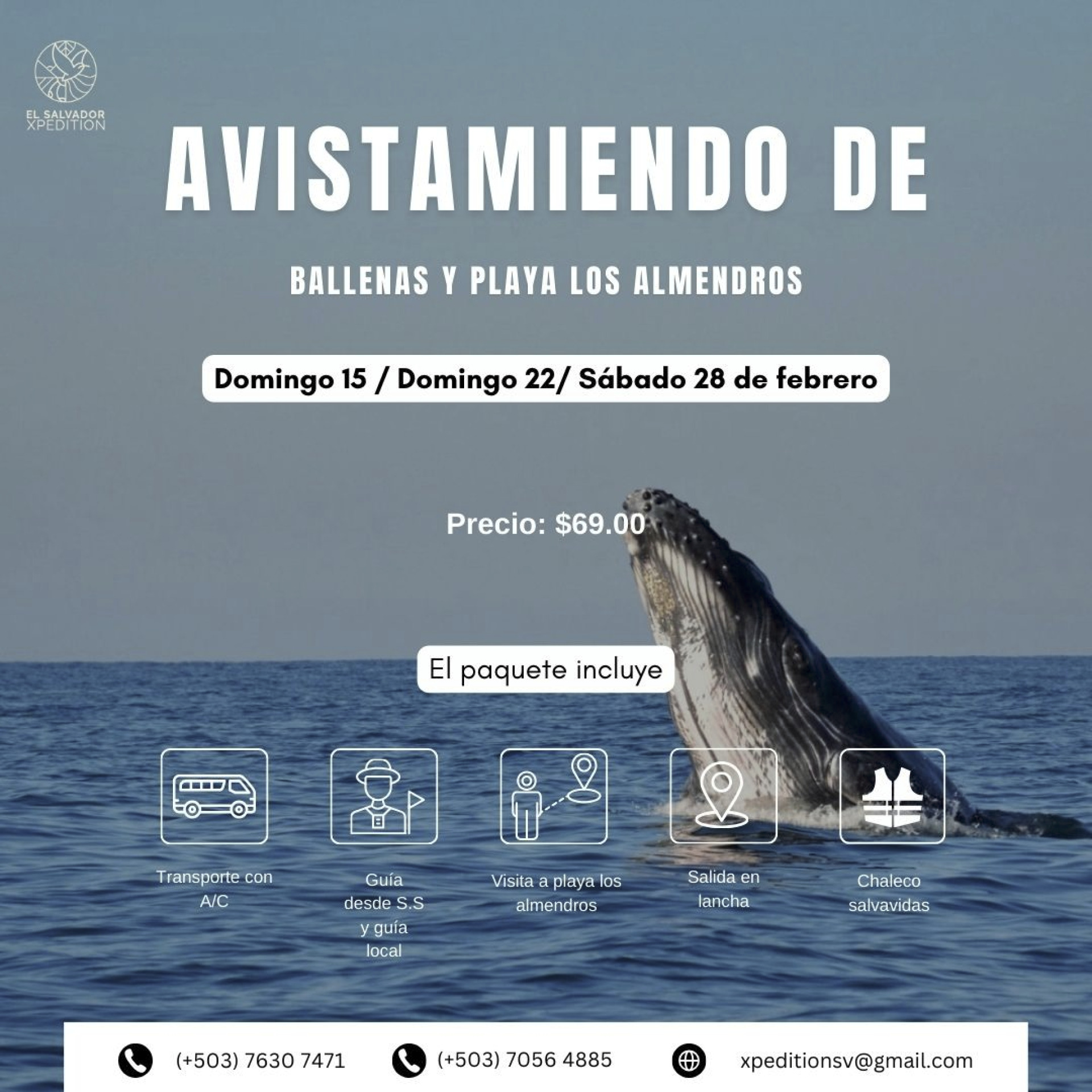 Las mejores excursiones!!