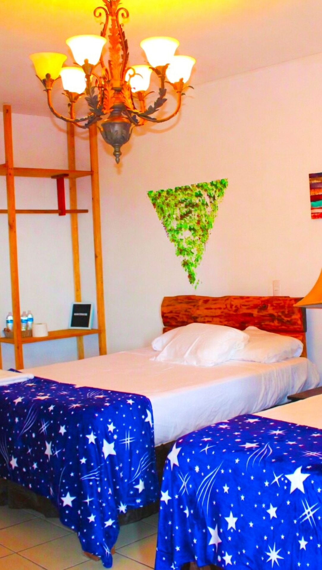 Disfruta 20% Descuento