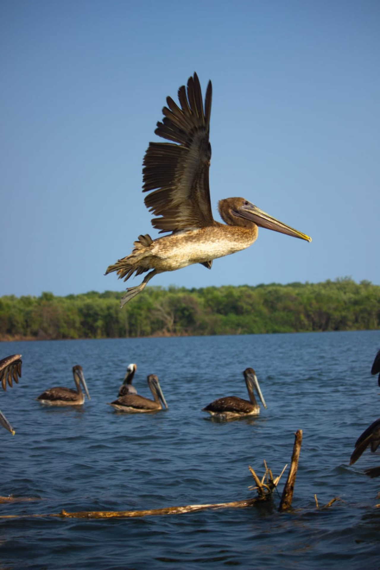Casa&Estero...relax y Aventura!!