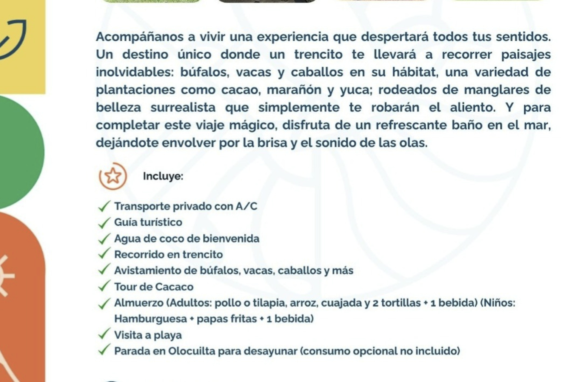Safari de Búfalos y... !!
