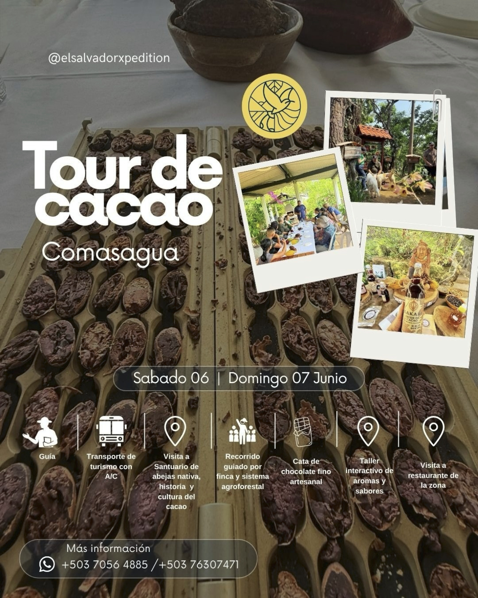 Tour Cacao Comasagua