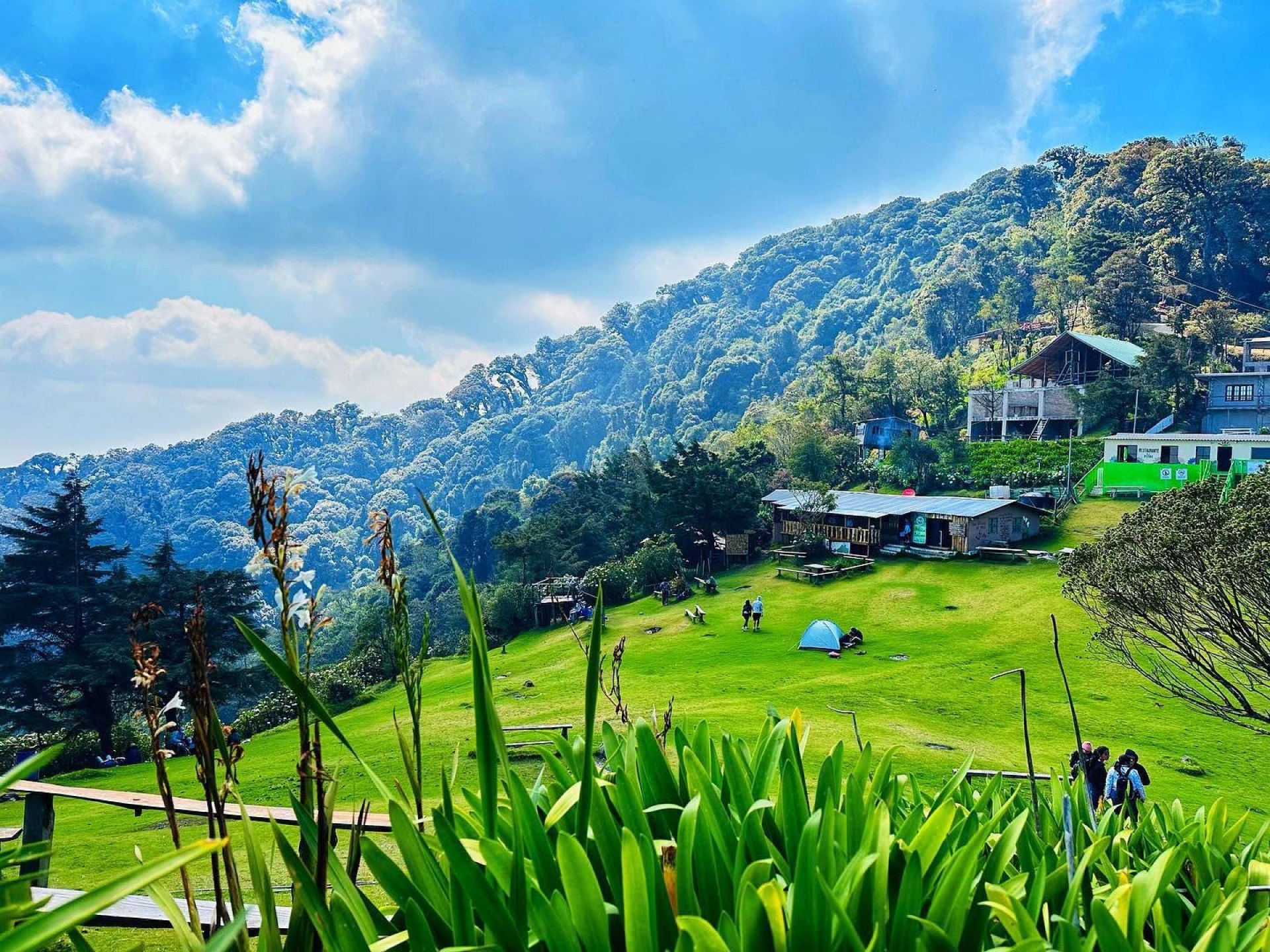 CERRO EL  PITAL - EL SALVADOR XPEDITION