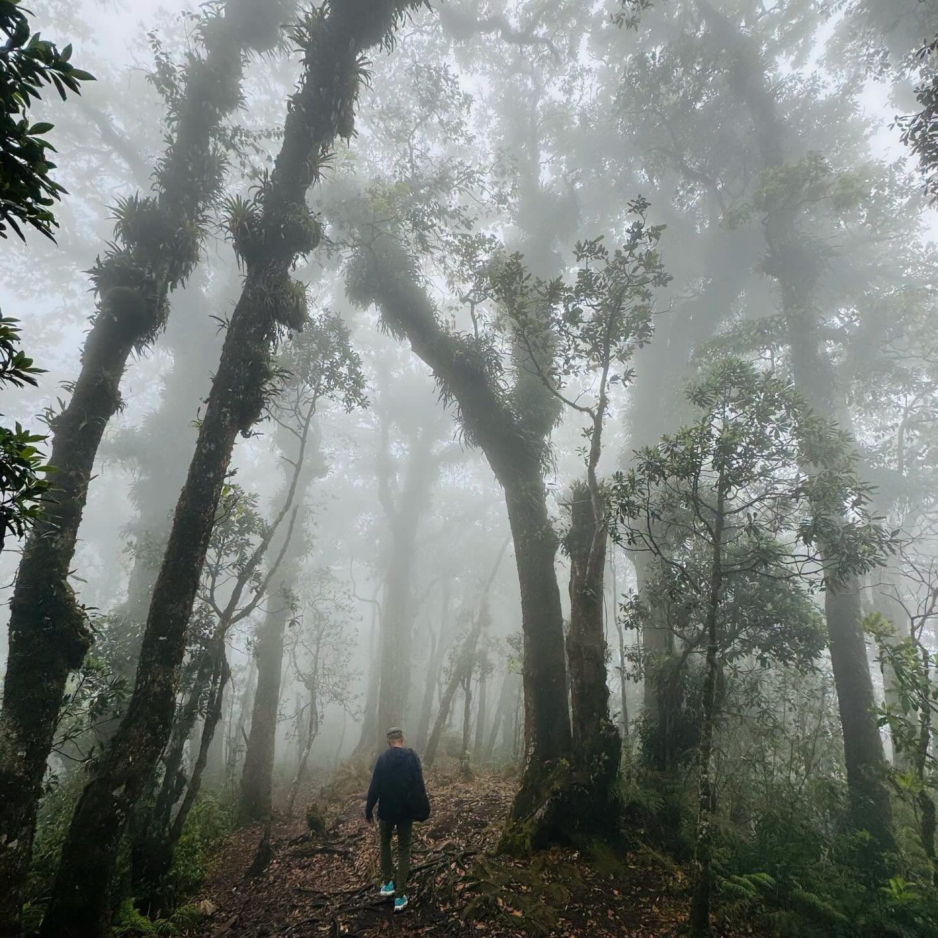 CERRO EL  PITAL - EL SALVADOR XPEDITION