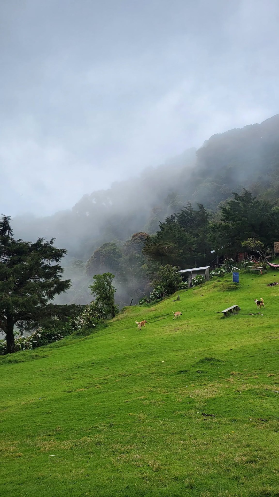 CERRO EL  PITAL - EL SALVADOR XPEDITION
